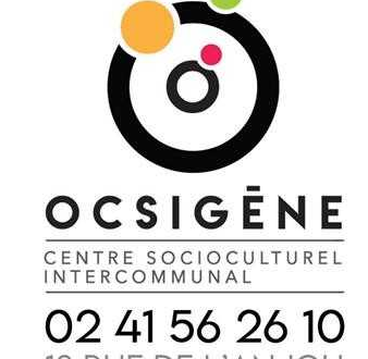 CSI OCSIGENE – Réunion d’information CJS